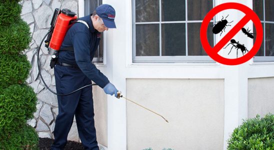 Devrekani Böcek ve Haşere İlaçlama böcek ilaçlama ve haşere kontrolü — ilaclama-tr.com